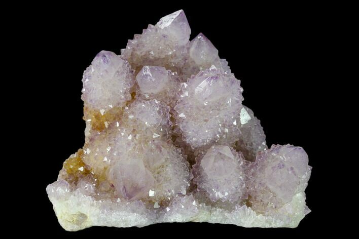 Cactus Quartz (Amethyst) Crystal Cluster - South Africa #137814